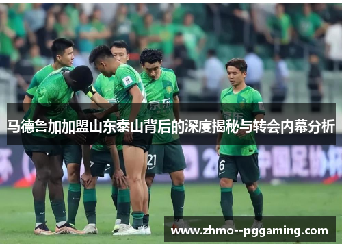 马德鲁加加盟山东泰山背后的深度揭秘与转会内幕分析